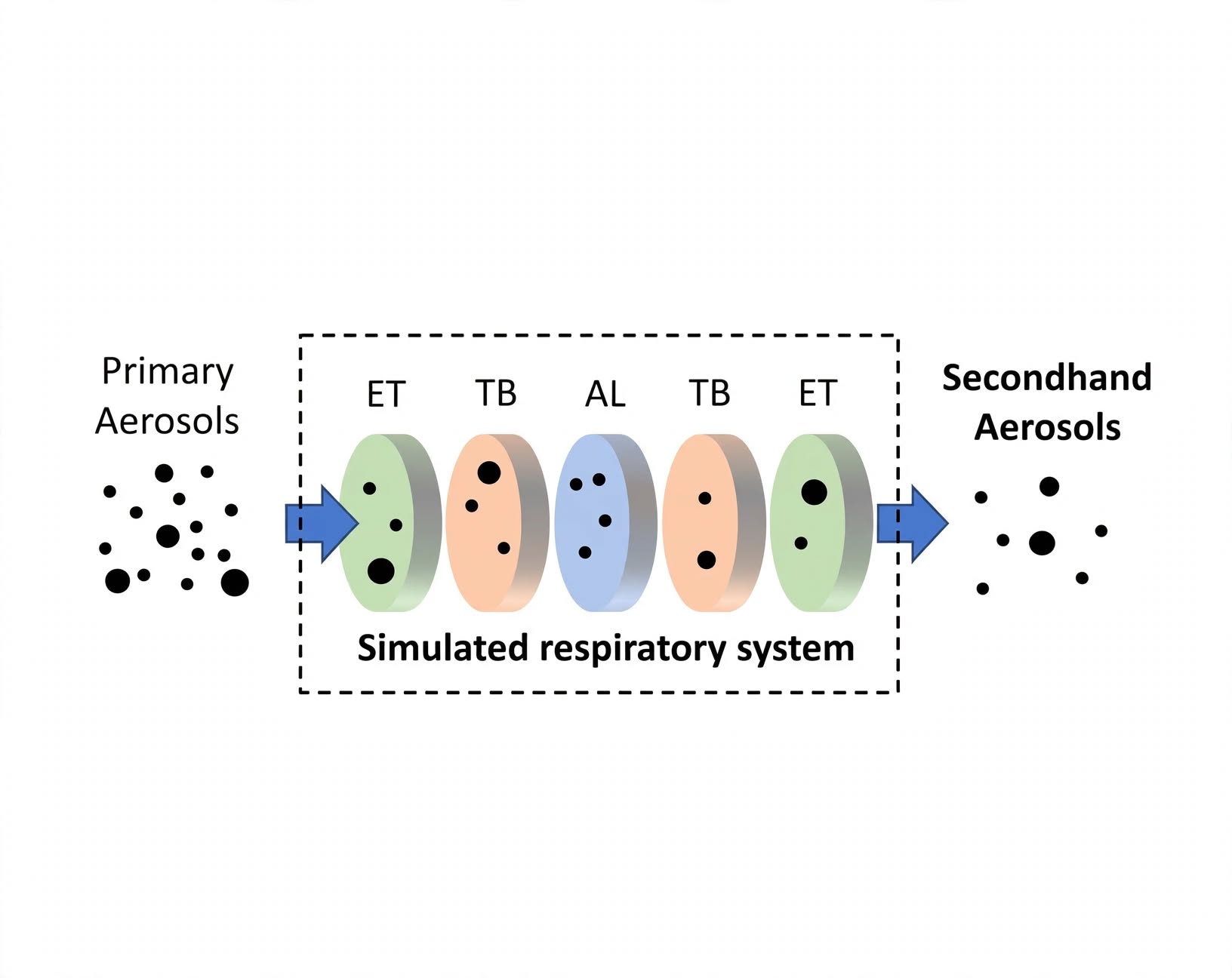 A diagram how showing what the primary aerosols go through in the simulated respiratory system to become secondhand aerosols.
